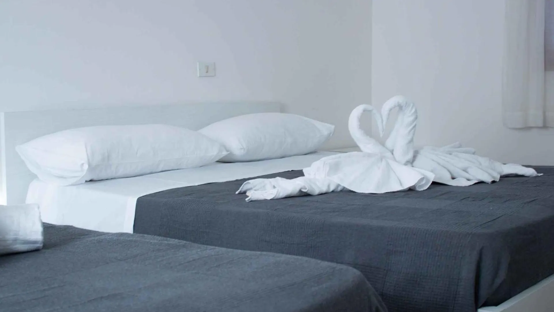 Apartment In Lido Di Jesolo 24800
