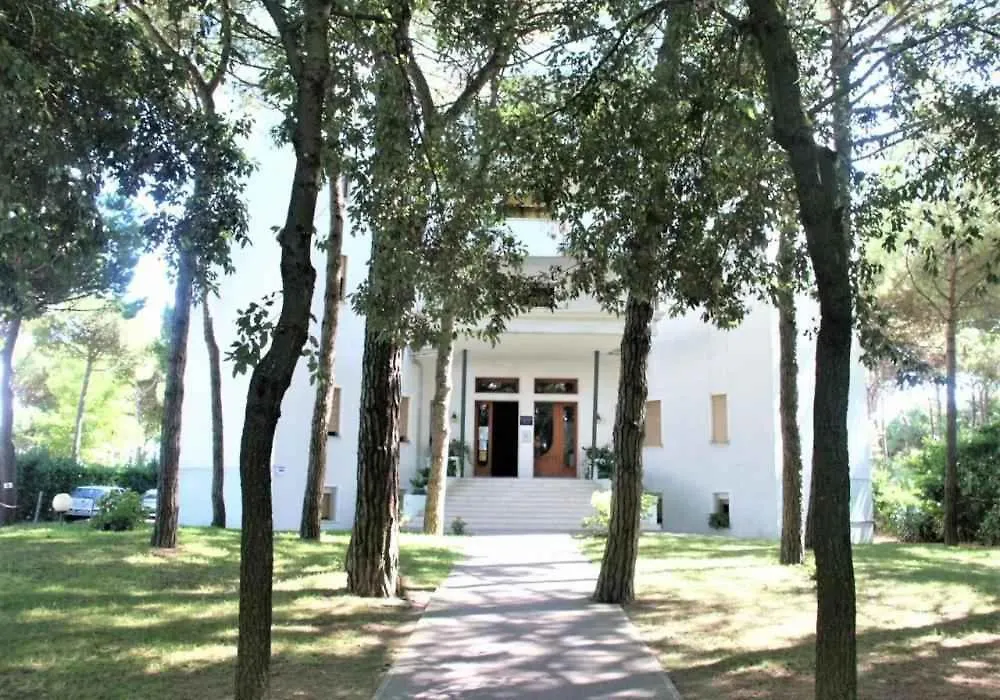 Apartment In Lido Di Jesolo 24800